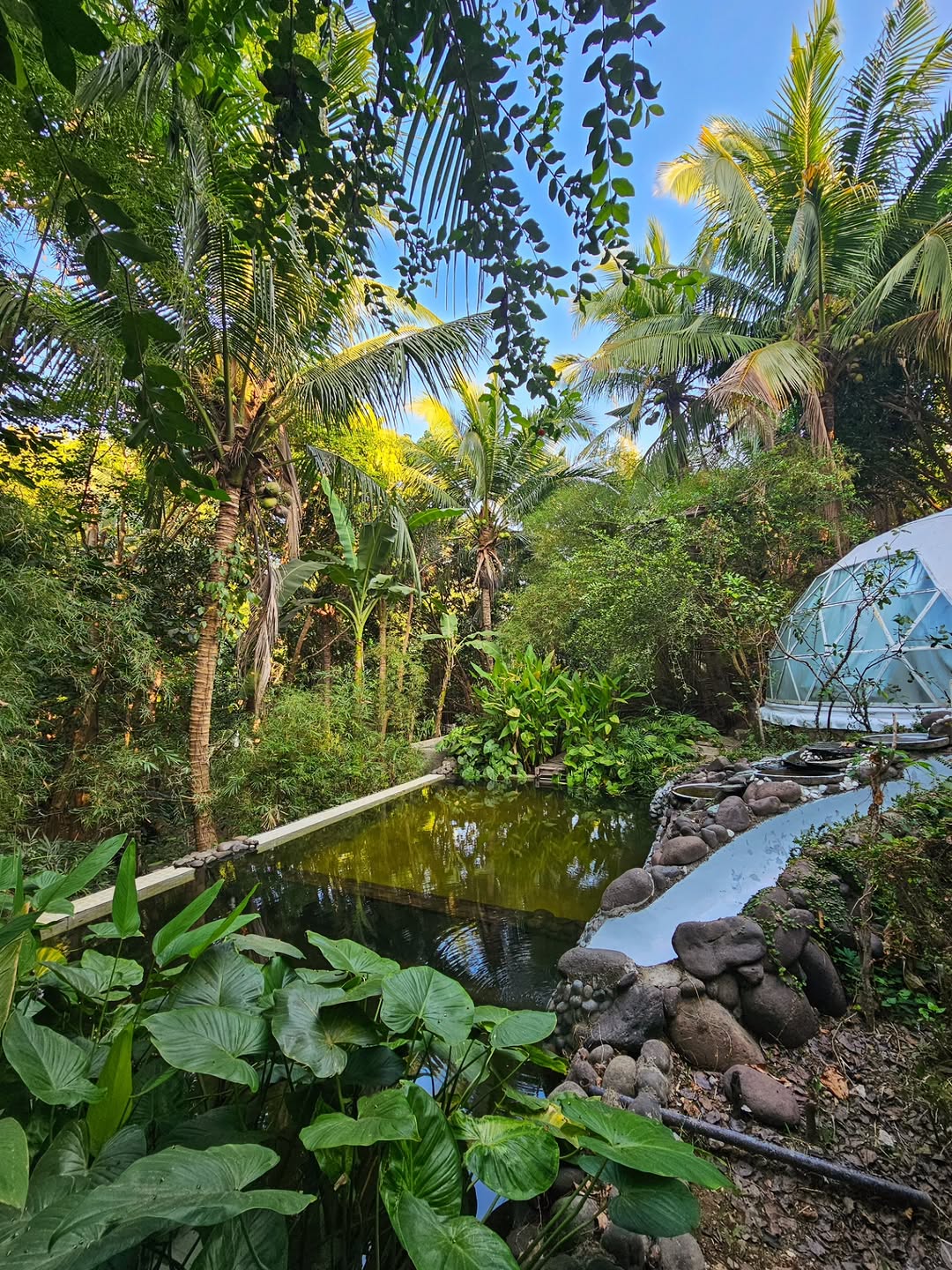 Domescape — just us, nature and a whole lot of calm