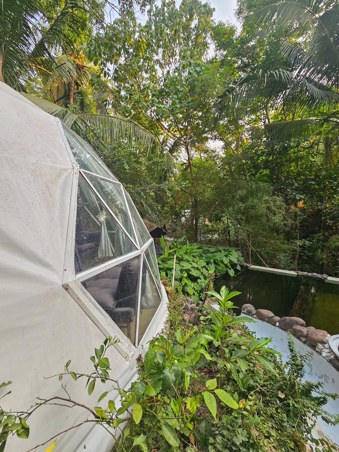 Dome 2 Boho Haven — dome view and natural surroundings